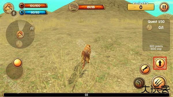 猎豹模拟器