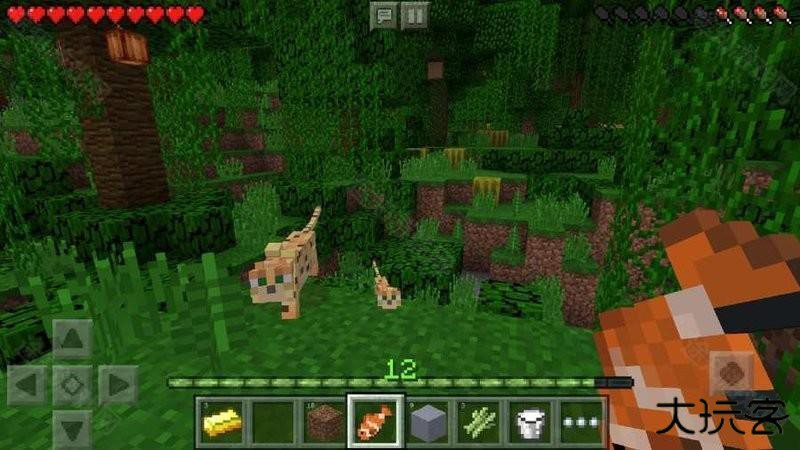 Minecraft1.21.5
