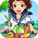 新小森生活正版下载 v4.0.1