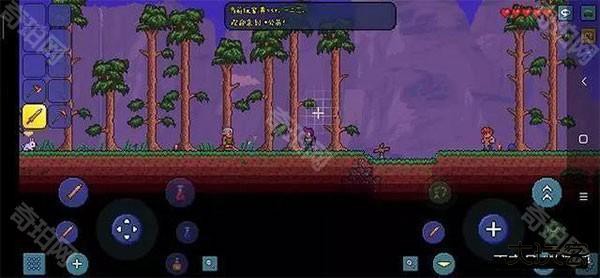 泰拉瑞亚灾厄怎么联机截图5