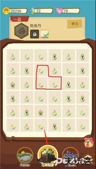 我家猫开的修仙中心