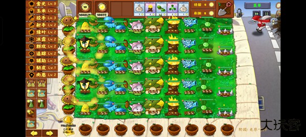 金铲铲植物大战僵尸