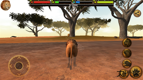 终极狮王模拟器