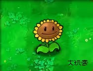 植物大战僵尸1