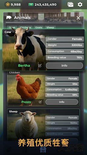 Farm Manager2025