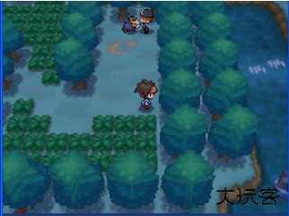 口袋妖怪绝对黑