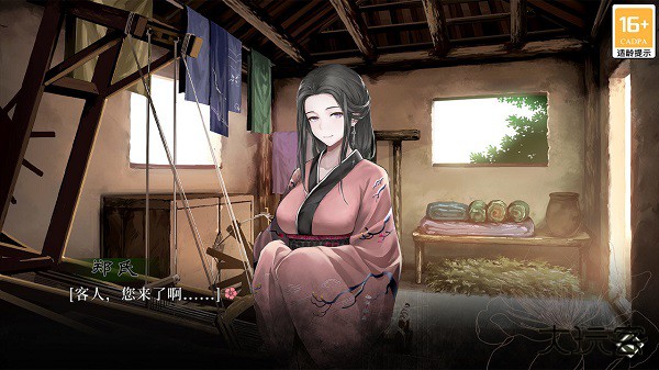 葬花暗黑桃花源