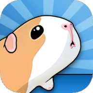 豚鼠桥下载 v9.5.1