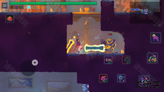 重生细胞国际服