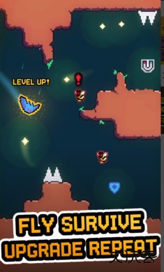 笨鸟先飞蝙蝠版