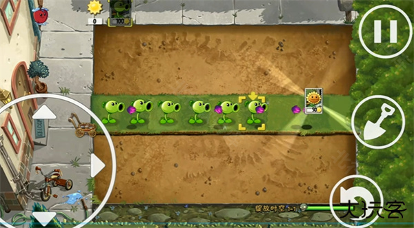 植物大战僵尸绽放时空