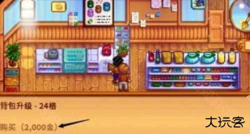 星露谷物语背包格子怎么增加