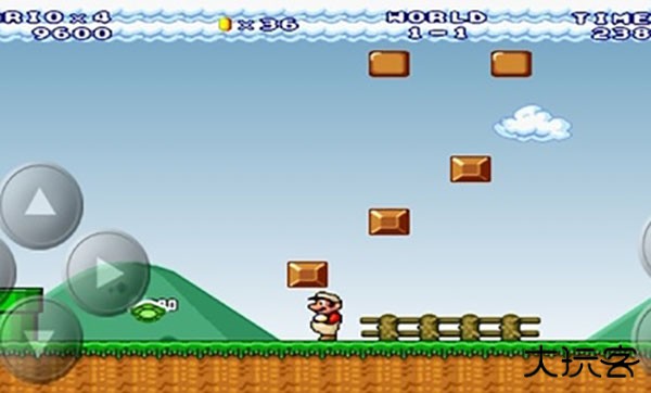 永远的马里奥下载 v1.18
