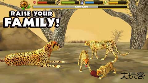 猎豹模拟器下载 v1.1