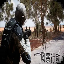 风暴行动下载 v1.1