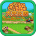 大空庄园汉化版下载 v1.0.0