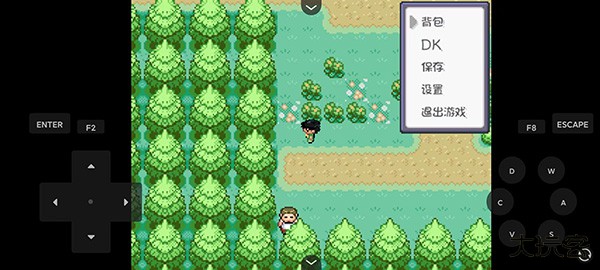 宝可梦燃之智下载 v1.0