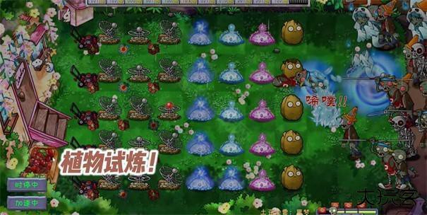植物大战僵尸共生版