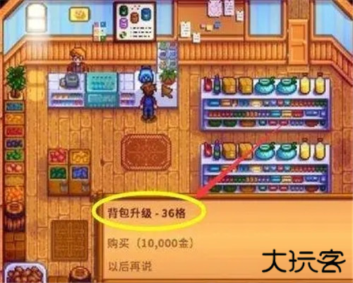 星露谷物语国际服