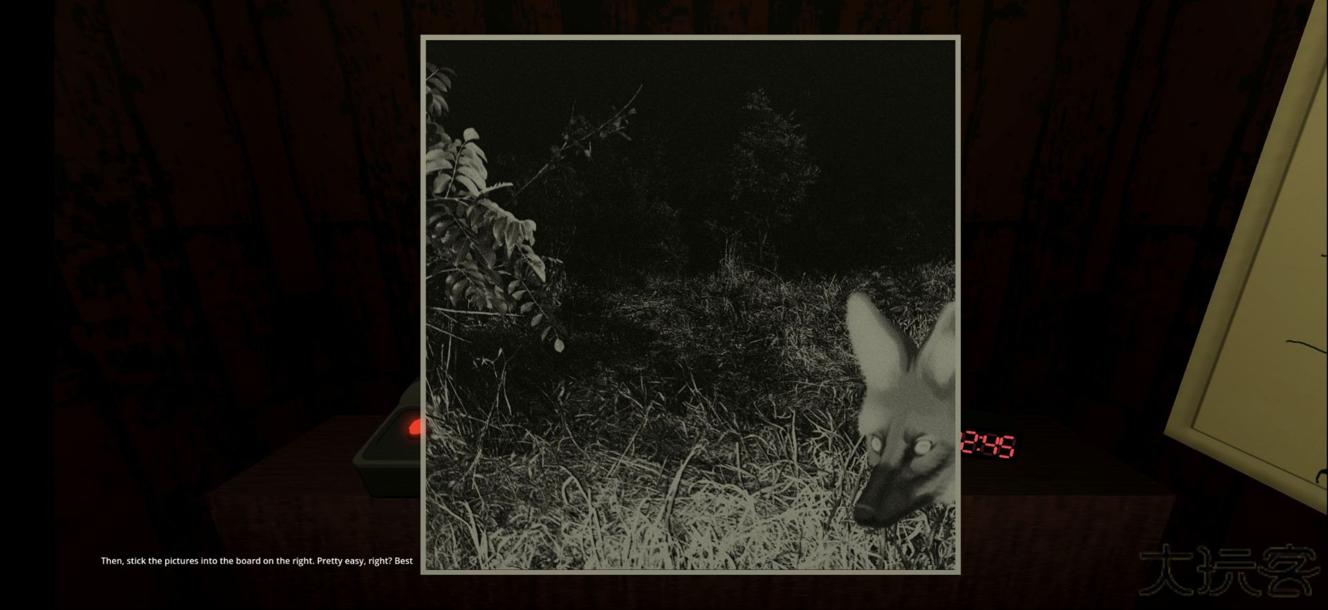 动物观察员下载 v1.0