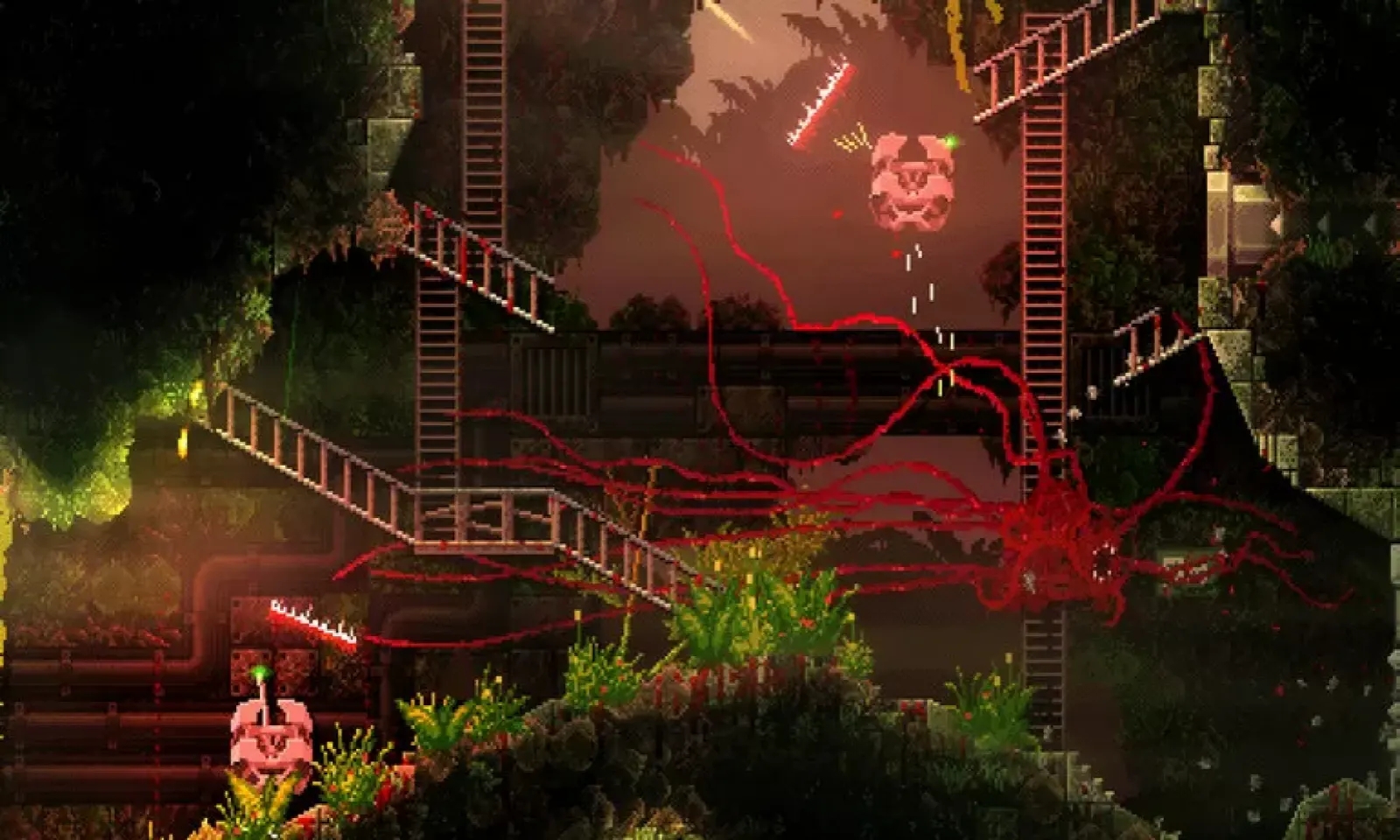 红怪手机移植版下载 v1.0.33