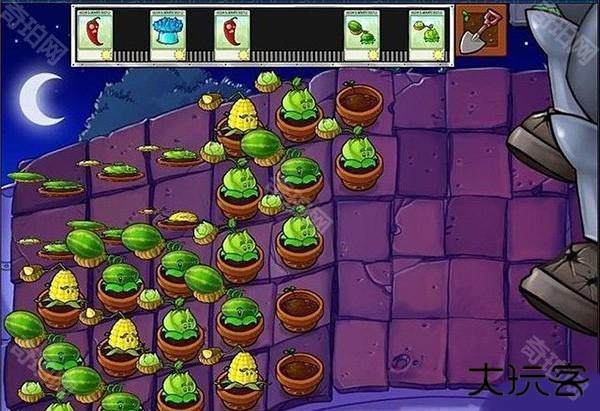 植物大战僵尸北美中文版游戏截图21