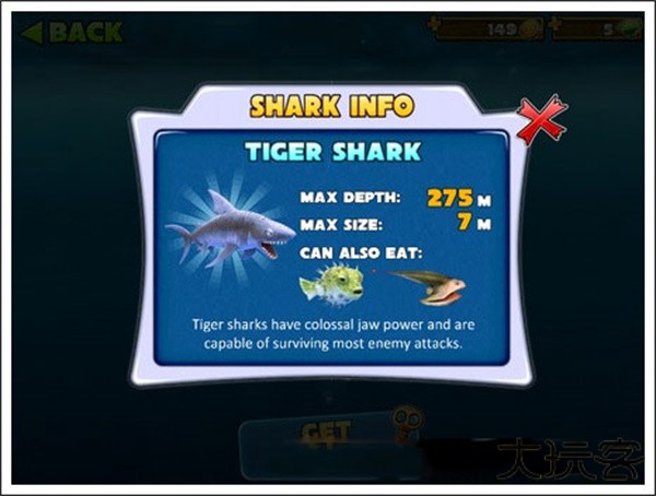 饥饿的鲨鱼进化