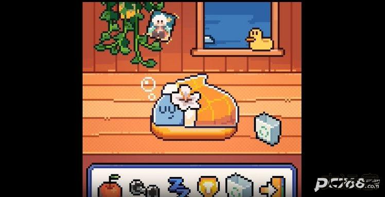 warma我的小鲨鱼