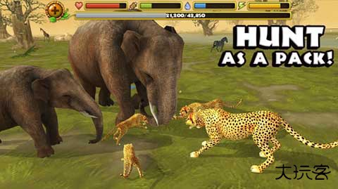 猎豹模拟器下载 v1.1