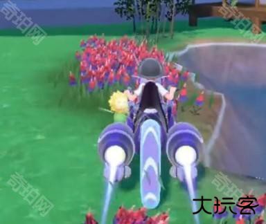 如何找向日葵截图4