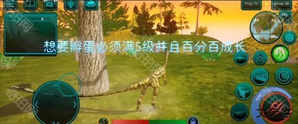 诅咒之岛中文版