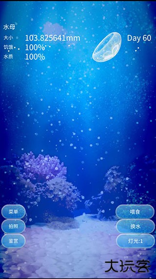 养育水母的治愈游戏下载 v1.0.0
