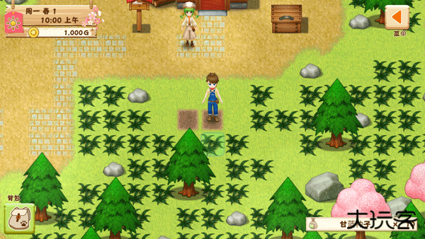 牧场物语希望之光下载 v1.0.1