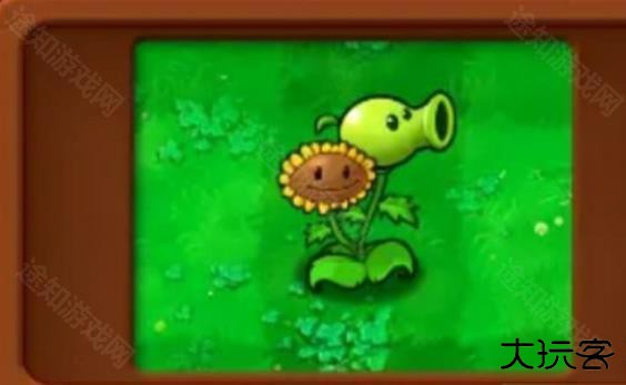 植物大战僵尸杂交植物