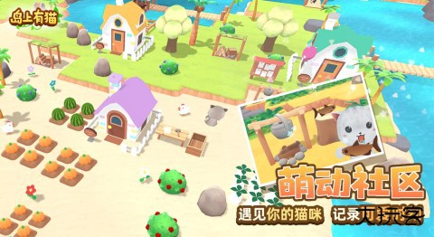 岛上有猫下载 v1.0.0