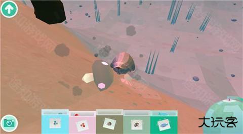 托卡大自然官方正版