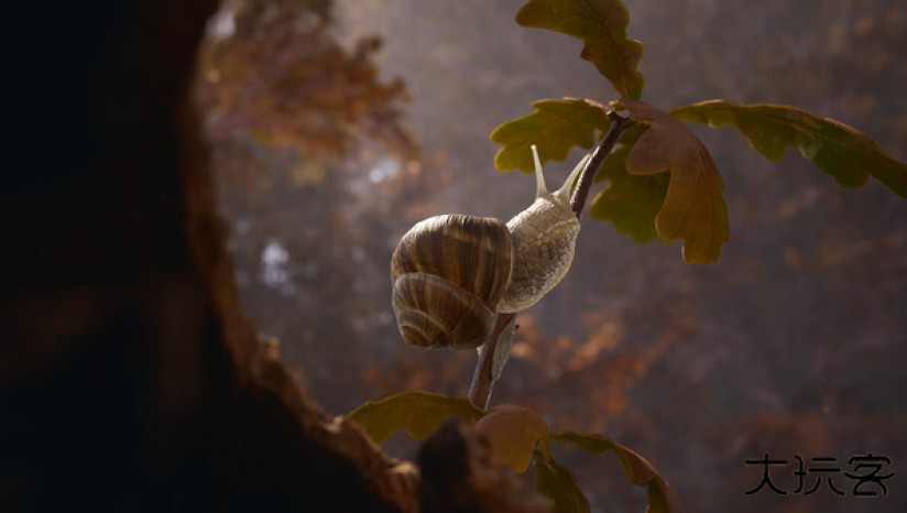 蚂蚁帝国下载 v1.3.4