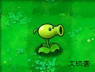 植物大战僵尸随机植物