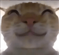 偷吃模拟器 (开容器模拟器)1.0.5下载 v2.0.3