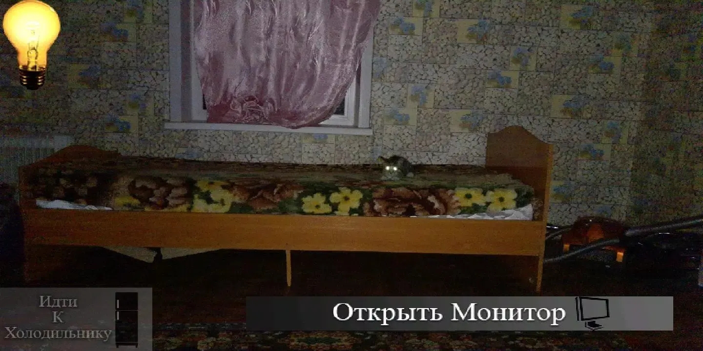 刺猬的五夜后宫免广告下载 v5.5