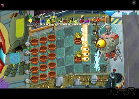 植物大战僵尸绽放时空