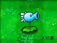植物大战僵尸1