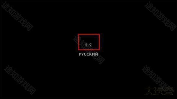 口袋盗贼终极版中文版