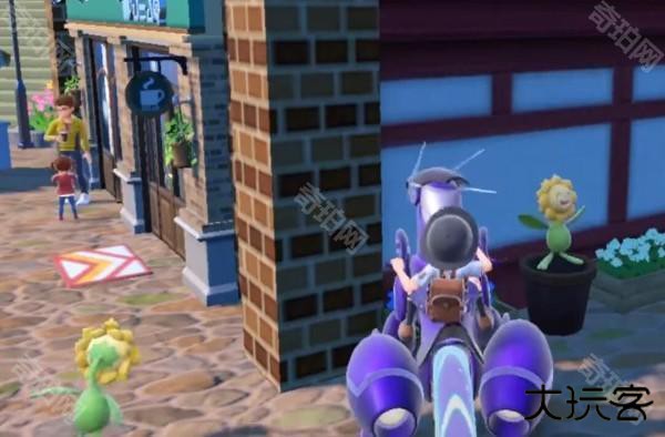 如何找向日葵截图3