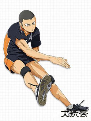 排球少年新的征程中文版