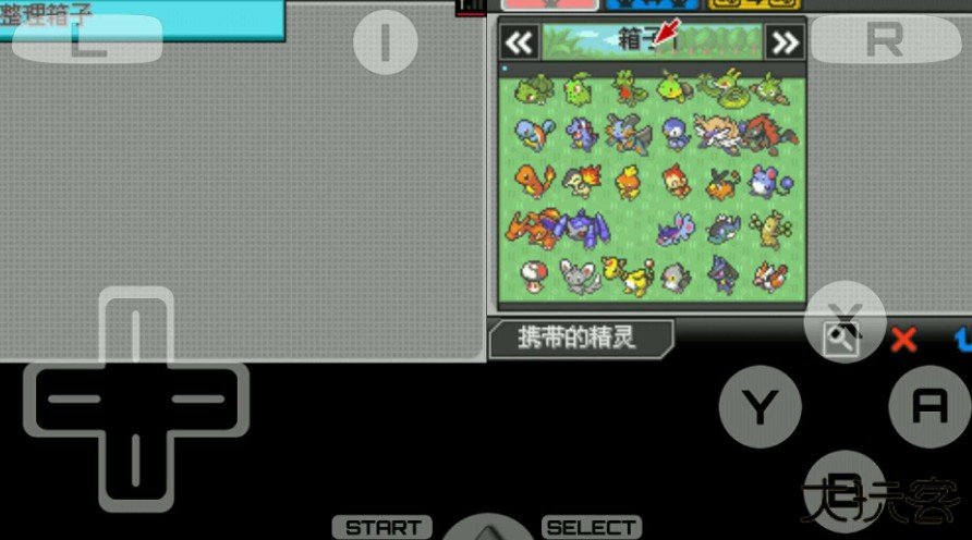 口袋妖怪超透黑2