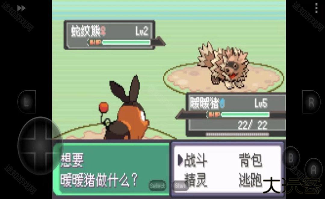 宝可梦漆黑的魅影5.0