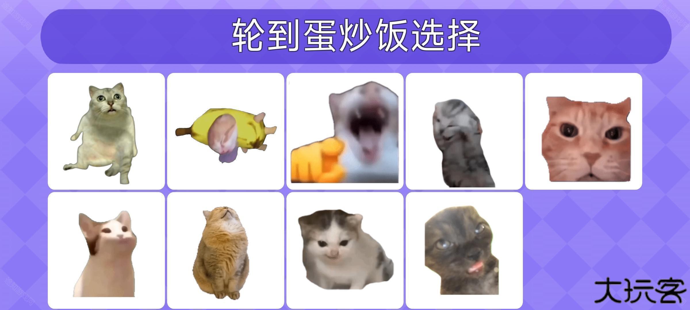 女巫的毒药猫meme版