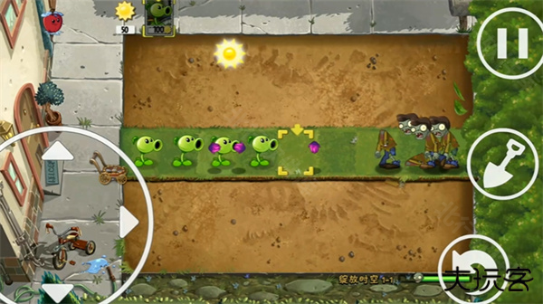 植物大战僵尸绽放时空