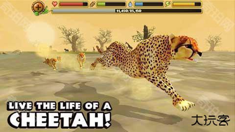 猎豹模拟器